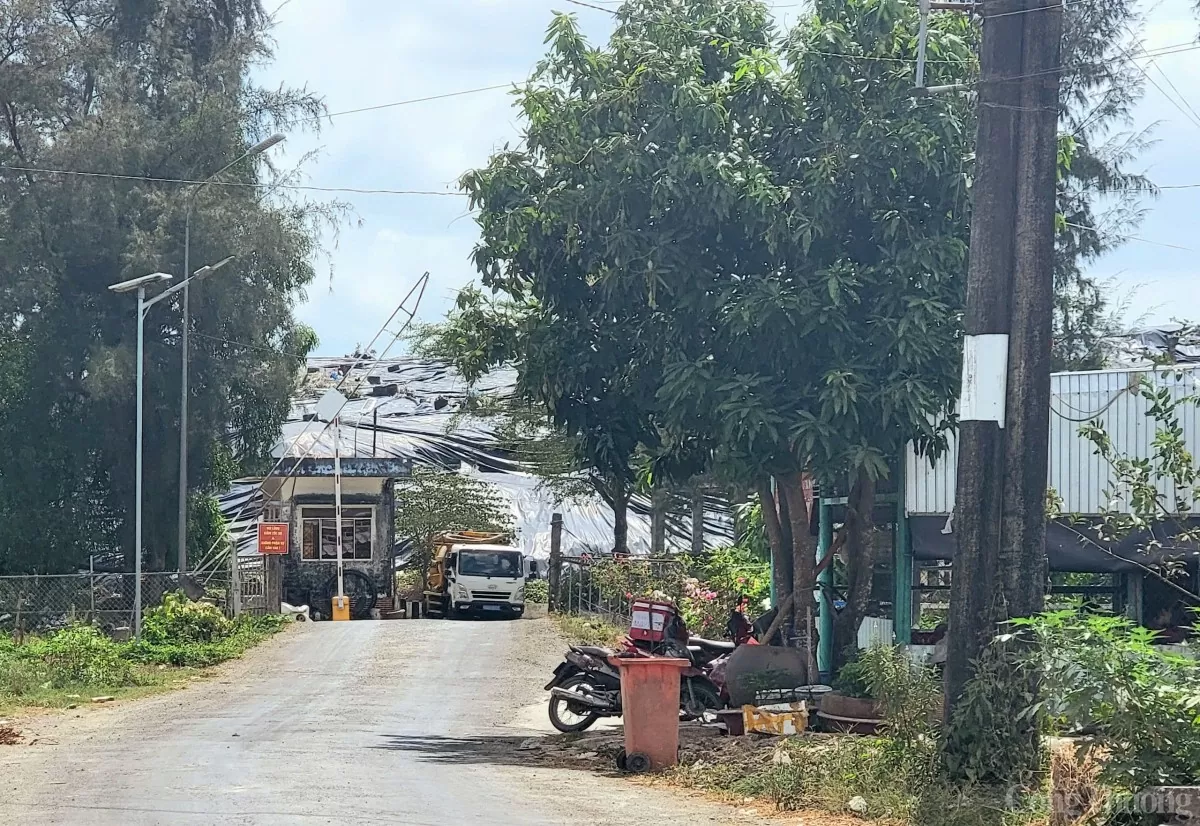 Bạc Liêu: Bãi rác quá tải, dân mòn mỏi chờ nhà máy