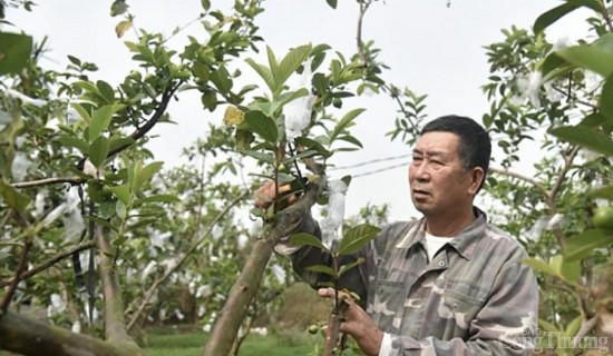quang ninh tp dong trieu nang cao doi moi san pham ocop