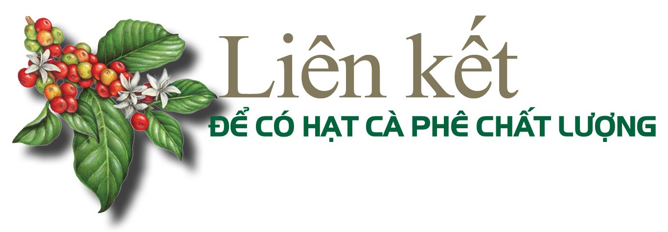 Longform | Sơn La: Cà phê Bích Thao và hành trình xây dựng thương hiệu