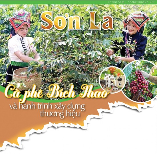 longform son la ca phe bich thao va hanh trinh xay dung thuong hieu