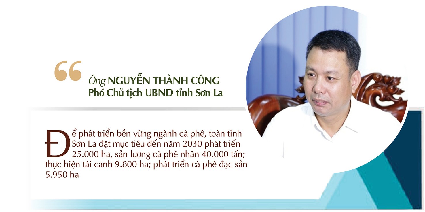 Longform | Sơn La: Cà phê Bích Thao và hành trình xây dựng thương hiệu