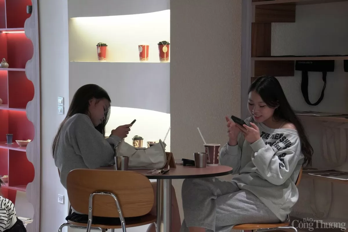 Quán cà phê độc đáo trưng bày Hổ, chuột giữa Hà Nội Quán cà phê độc đáo trưng bày công khai hổ, chuột giữa Hà Nội