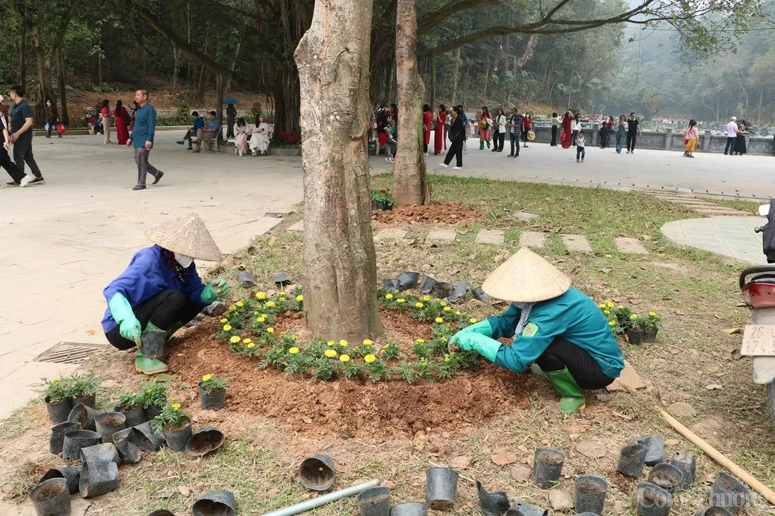 Cảnh quan Đền Hùng trước ngày Giỗ Tổ Hùng Vương
