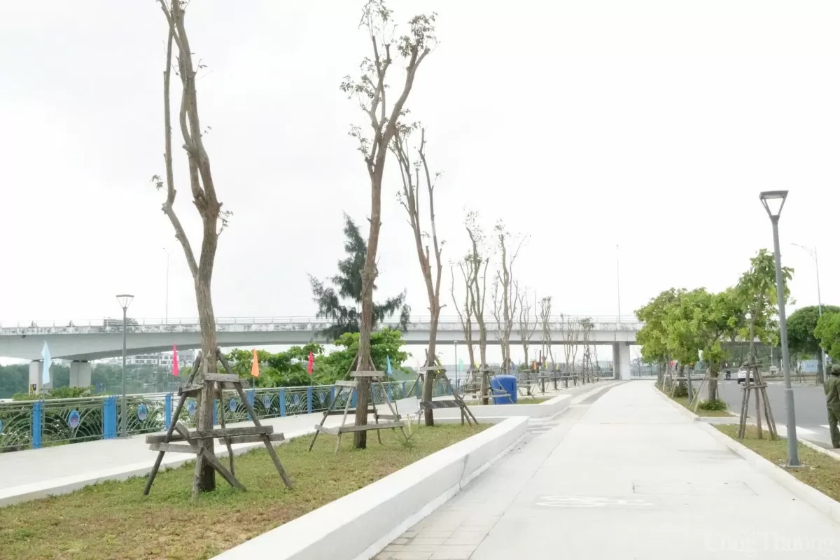 Công trình cải tạo cảnh quan vỉa hè đường Thăng Long là một trong các công trình chào mừng 50 năm Ngày giải phóng thành phố Đà Nẵng