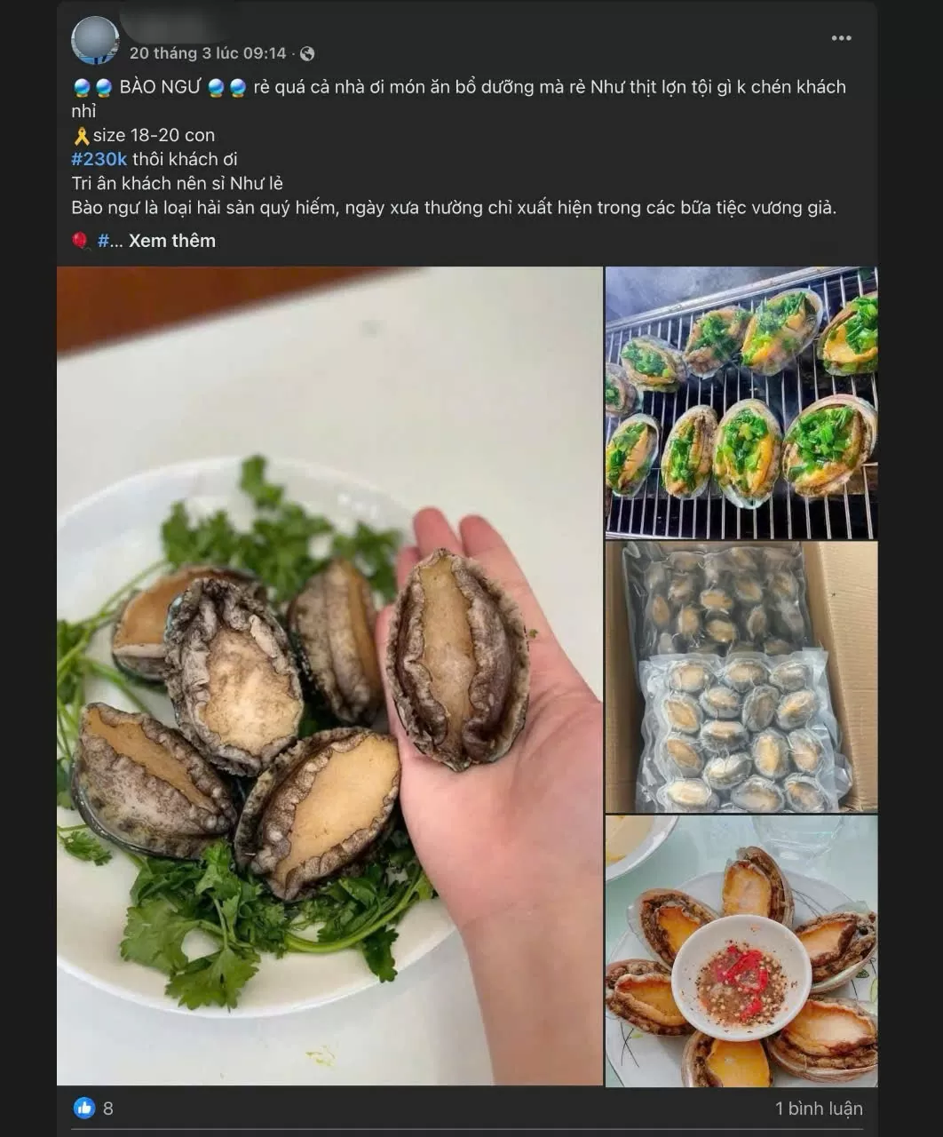 Bào ngư - hải sản thượng hạng nay giá rẻ bất ngờ