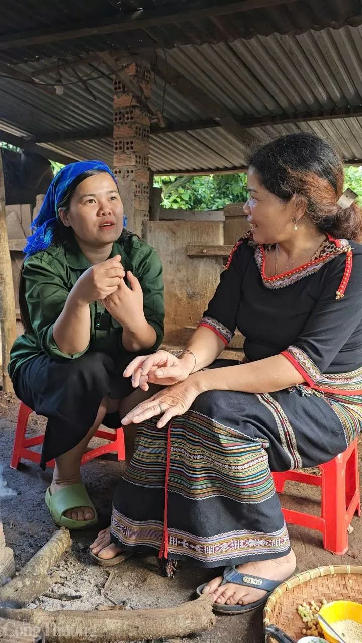 Chân dung cô gái 9X giúp bà con vùng cao đổi đời