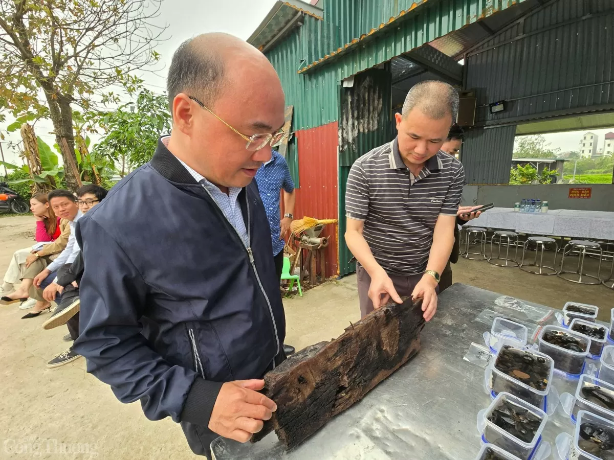 Nhà khoa học giải mã thuyền cổ ở Bắc Ninh