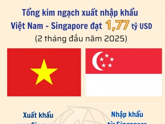 infographic xuat nhap khau viet nam singapore dat 177 ty usd