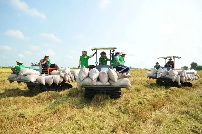 Tin Công Thương 26/3: Kiểm tra kinh doanh xuất khẩu gạo, FTA gia tăng lợi thế cho xuất khẩu