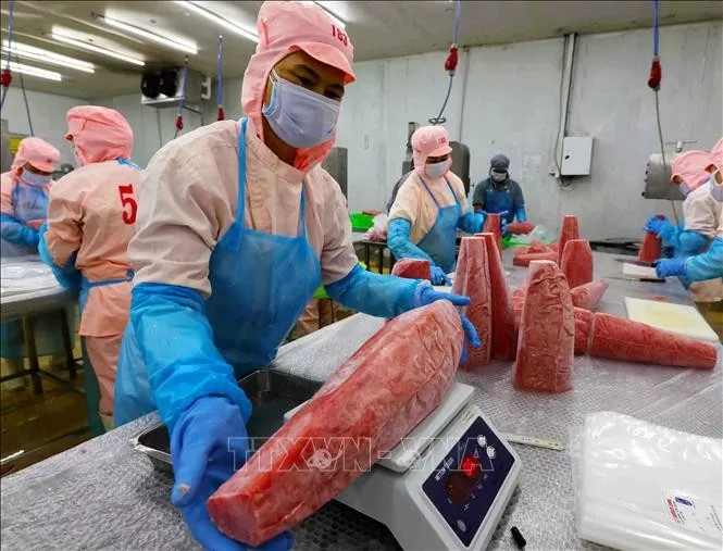 Tin Công Thương 26/3: Kiểm tra kinh doanh xuất khẩu gạo, FTA gia tăng lợi thế cho xuất khẩu