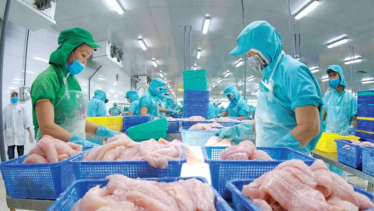 Doanh nghiệp Việt Nam - Brazil kỳ vọng gì từ chuyến thăm của Tổng thống?