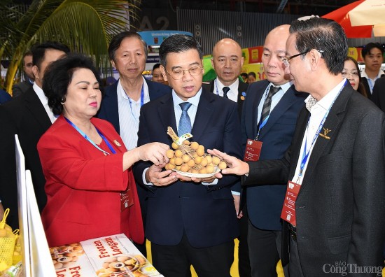 hcm city export 2025 ket noi giao thuong mo rong xuat khau