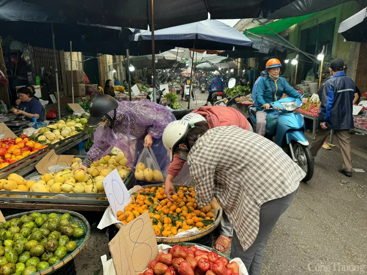 Quả thanh trà vào mùa, gây 'sốt' bởi mức giá siêu rẻ