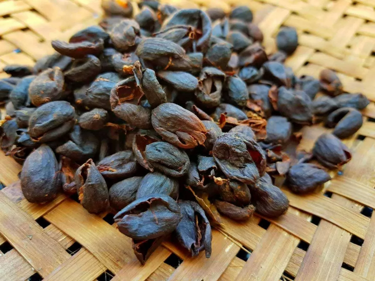 Cascara - Trà tái sinh từ phần bí ẩn nhất của cà phê