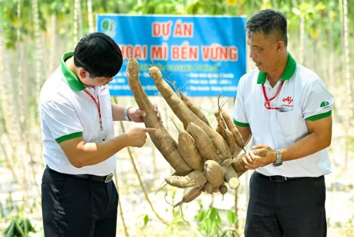 Thúc đẩy triển khai Phần mềm xây dựng thực đơn cho mẹ