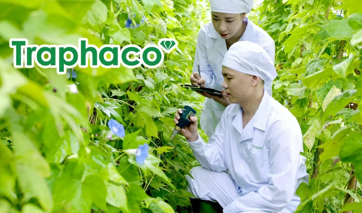 Traphaco dẹp bỏ chi nhánh cấp hai, chuyển mình theo công nghệ