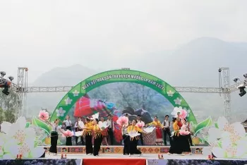 Sơn tra: