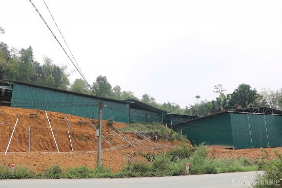 som xu ly truc loi tren du an duong day 500kv lao cai vinh yen