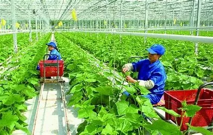 Thế giới “vượt rào” thuế quan: Kịch bản cho Việt Nam?