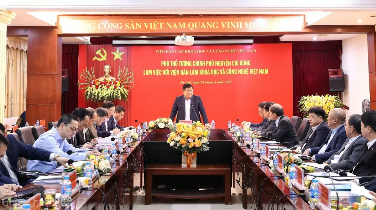 Toàn cảnh
