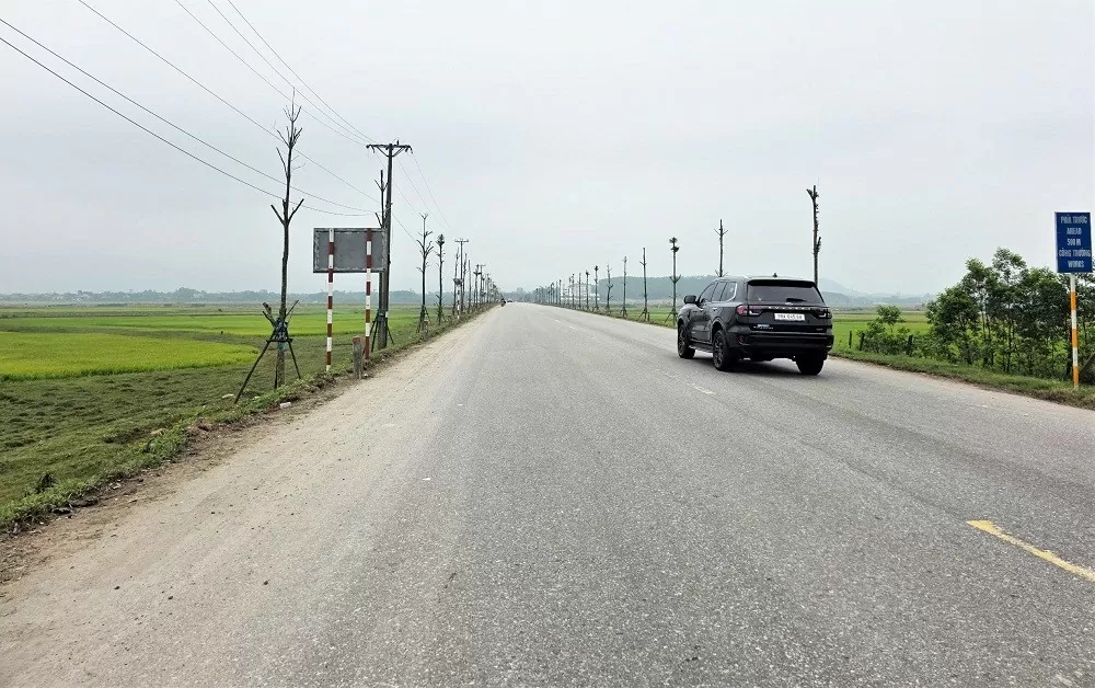 dự án trồng cây xanh hà tĩnh