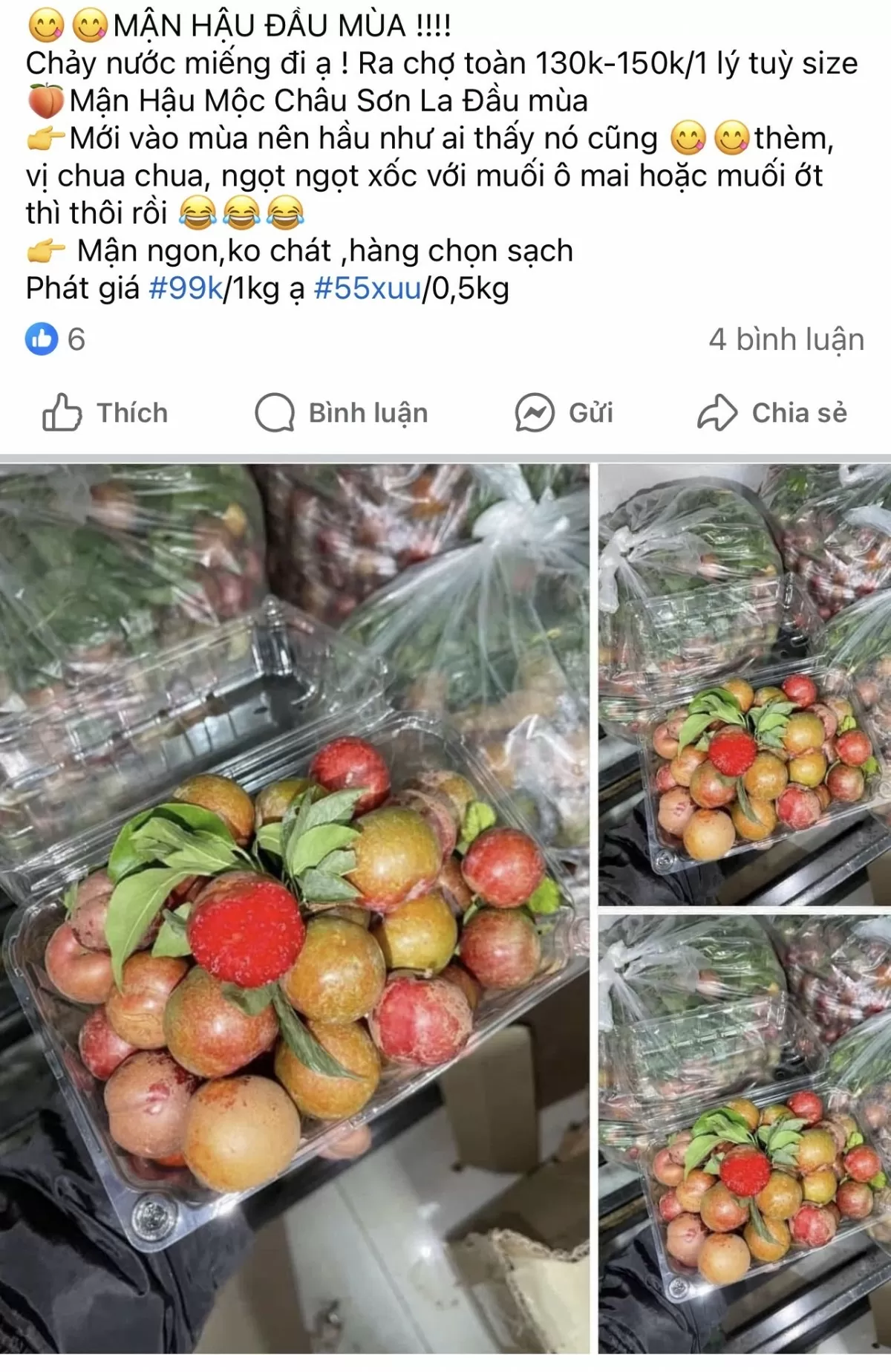 Mận hậu đầu mùa: Giá ‘chát’ vẫn được chị em ‘săn đón’