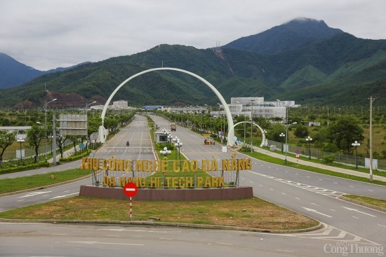 da nang chuyen doi hon 19ha rung trong lam cum cong nghiep
