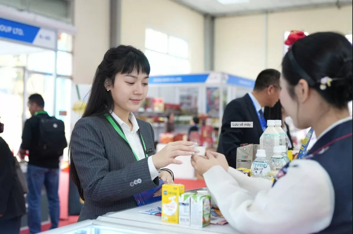 paso Việt Nam