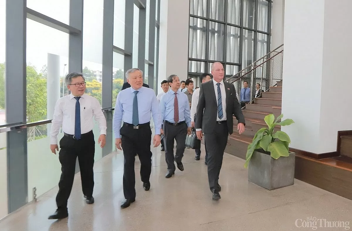 Thúc đẩy hợp tác Việt   Đức tại Đại học Việt Đức