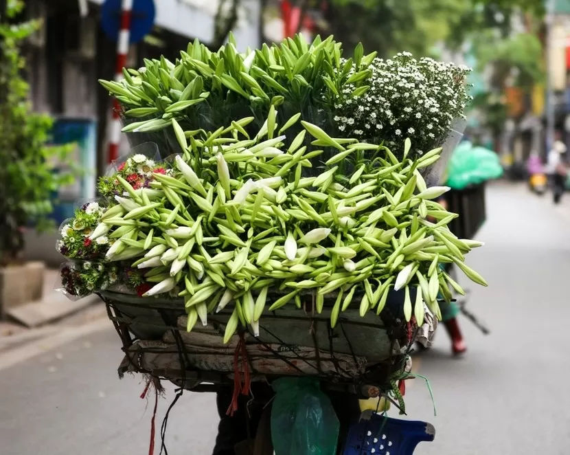 xu hướng chụp hình check-in với xe hoa loa kèn cũng nở rộ trở lại trên các tuyến phố. Ảnh: Nguyễn Vân