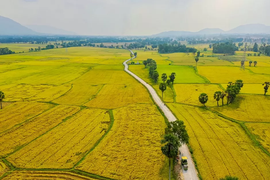 Kinh tế An Giang và Kiên Giang trước sắp xếp các địa phương