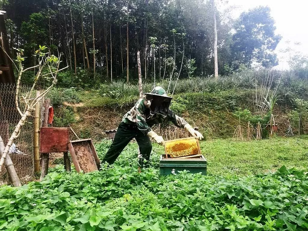 Mật ong Cao Bằng: ‘Gieo’ thương hiệu, ‘gặt’ đầu ra bền vững