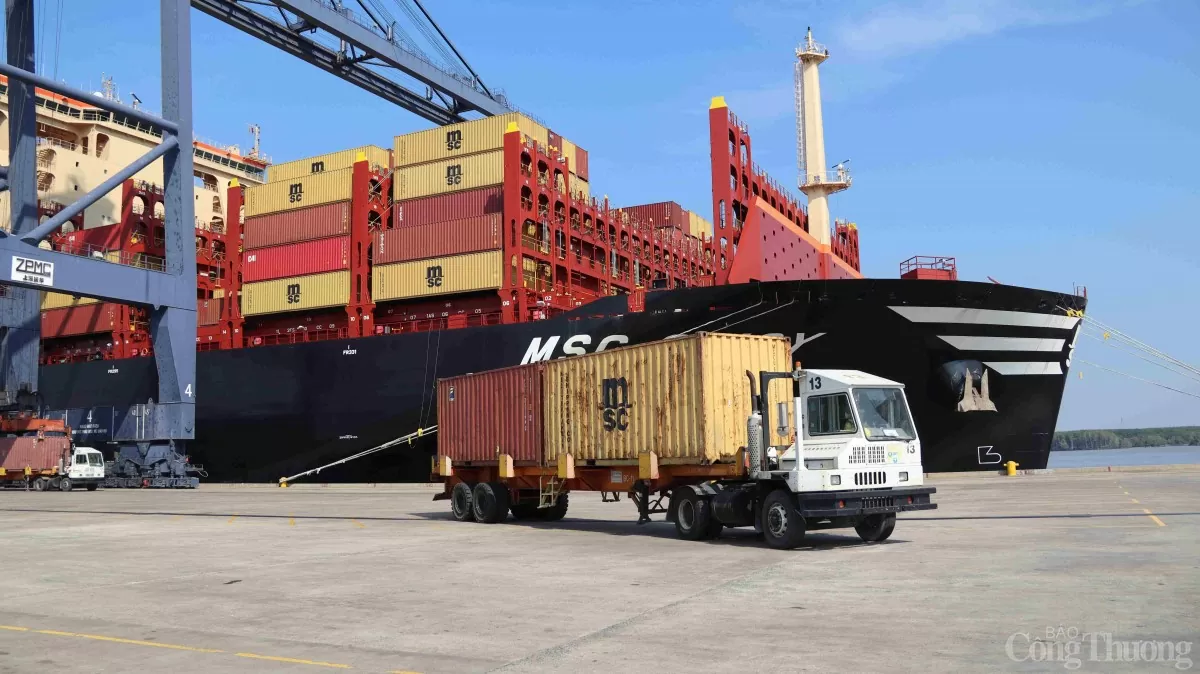 Bà Rịa - Vũng Tàu: Doanh nghiệp chủ động chuyển hướng xuất khẩu