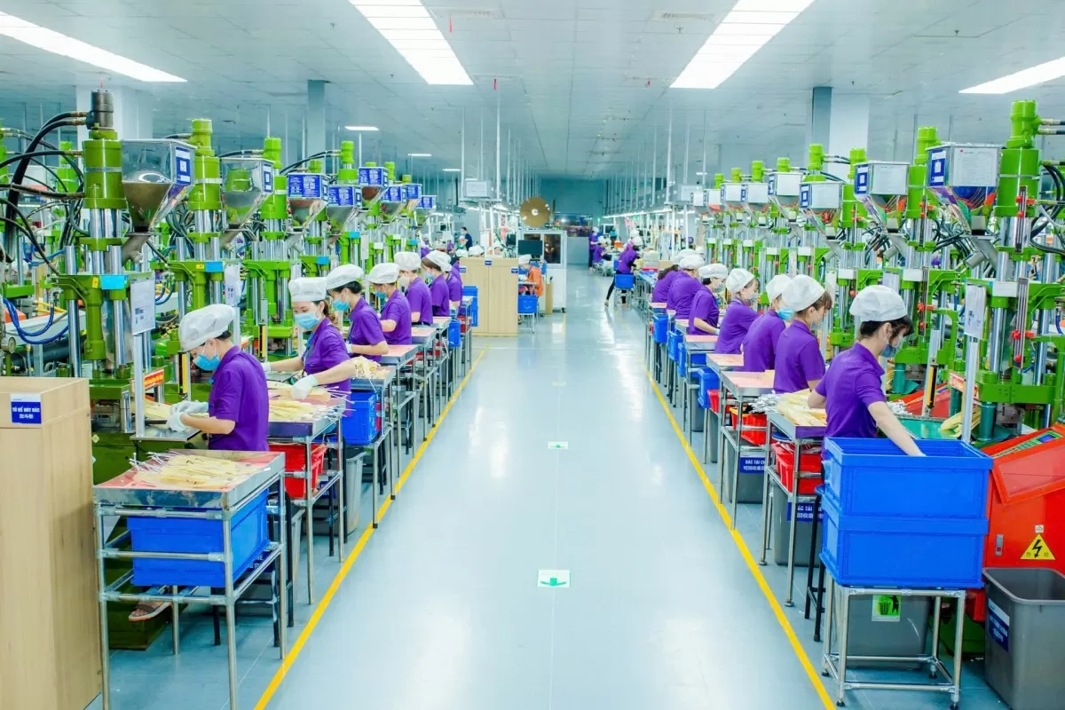 Tỉnh Nghệ An: Hiệu quả trong việc thực hiện các FTA