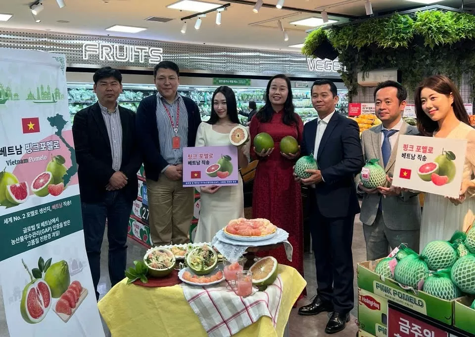 Bưởi Việt vào Lotte Hàn Quốc: Mở thêm cánh cửa thị trường cao cấp