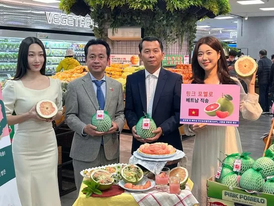 Bưởi Việt vào Lotte Hàn Quốc: Mở thêm cánh cửa thị trường cao cấp