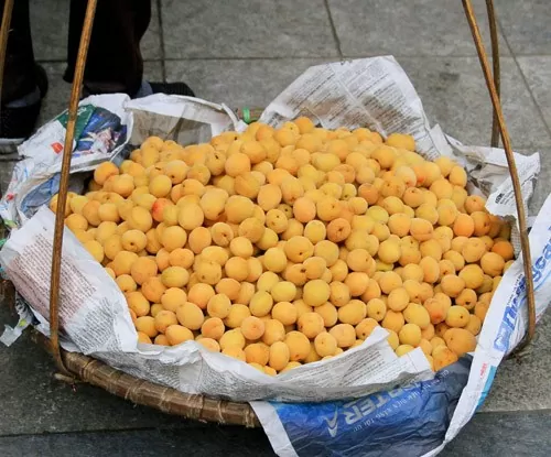 Với nhiều người Hà Nội, mơ ngâm đường, ngâm rượu hay làm ô mai không chỉ là đồ uống, đồ ăn vào mùa hè nóng bức, mà còn là một phần ký ức