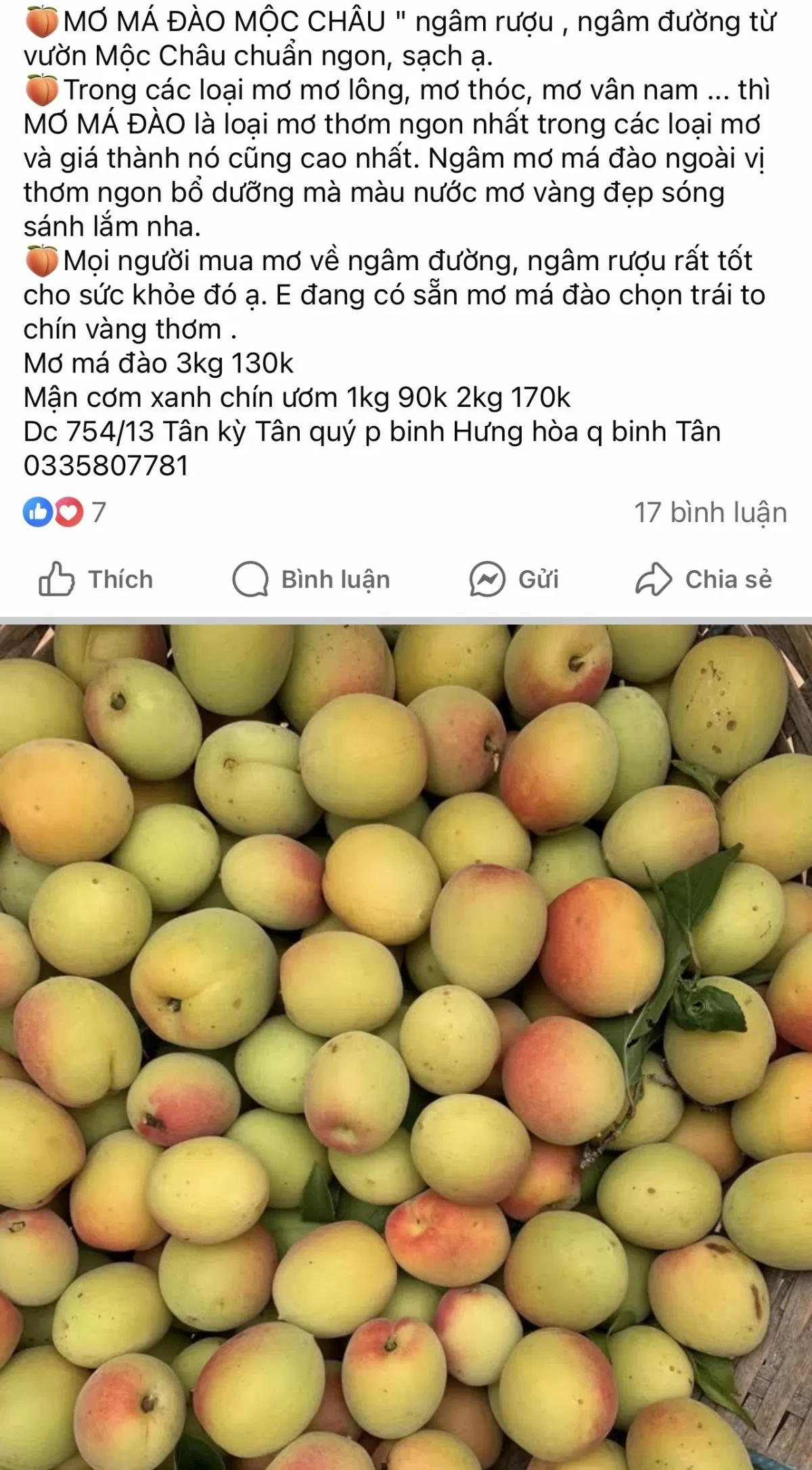Mơ vàng đầu vụ: 'Vàng non' giá cao vẫn 'cháy hàng'