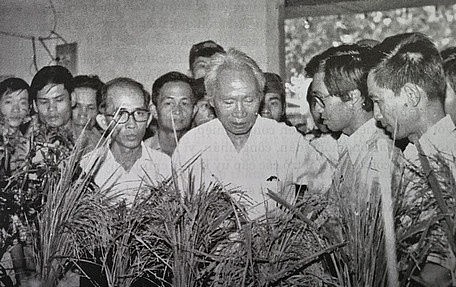 dau an kinh te tra vinh vinh long thoi sap nhap tinh