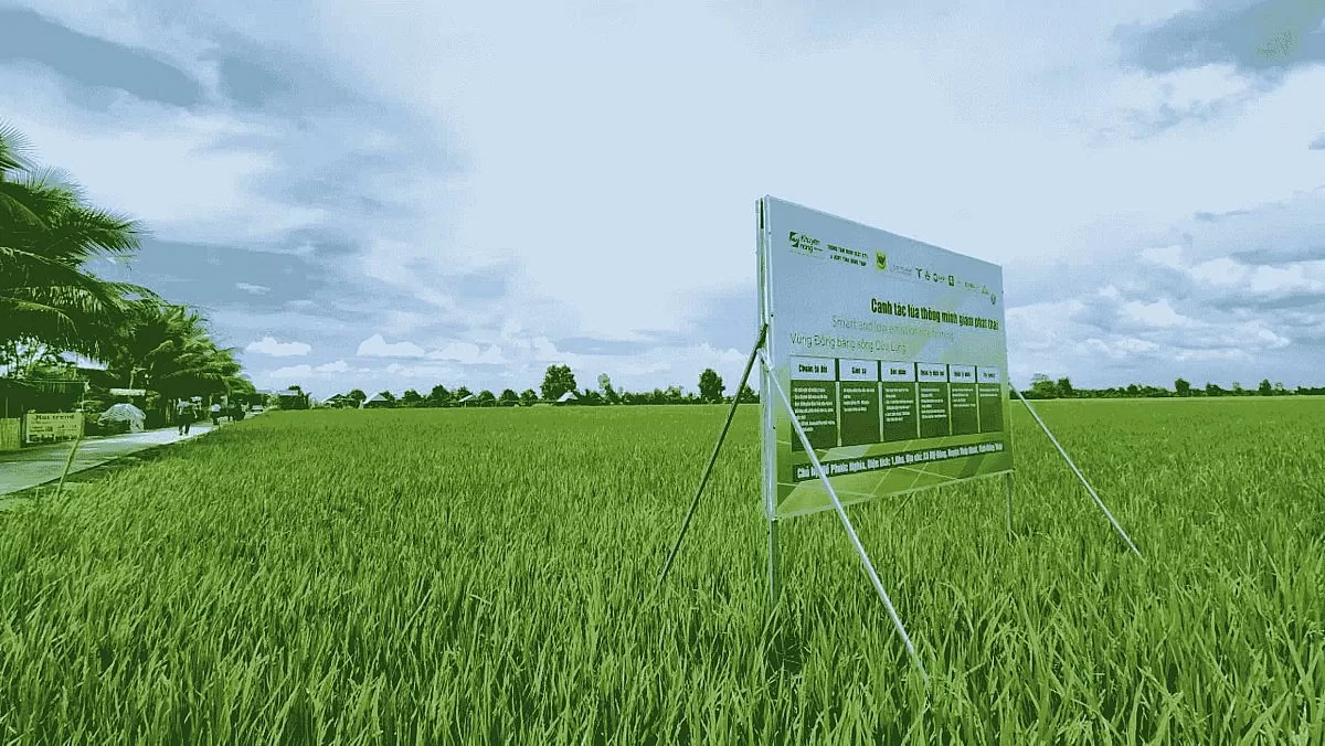 Trả dinh dưỡng lại cho đất lúa