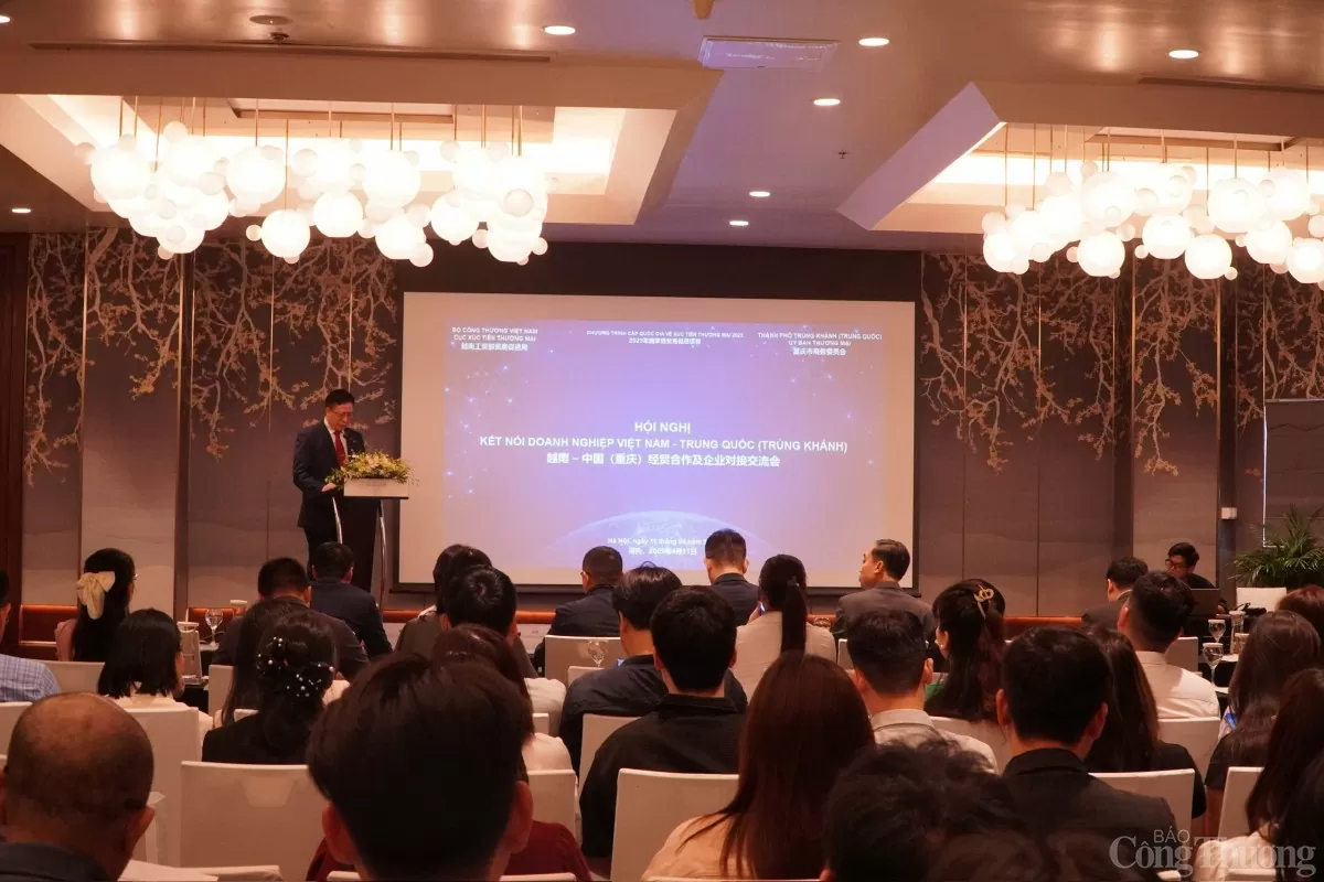 Cơ hội nào cho doanh nghiệp Việt tại thị trường Trùng Khánh?