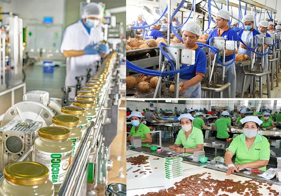 Kinh tế Vĩnh Long, Trà Vinh, Bến Tre có lợi thế gì?