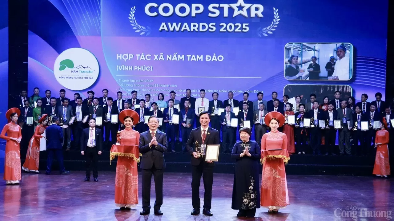 Nấm Tam Đảo được vinh danh Ngôi sao Hợp tác xã: Nông nghiệp tuần hoàn “tỏa sáng” từ vùng sâu