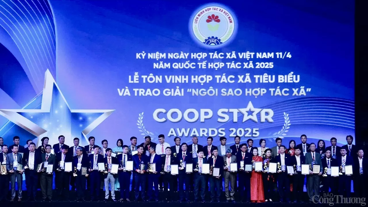 Nấm Tam Đảo được vinh danh Ngôi sao Hợp tác xã: Nông nghiệp tuần hoàn “tỏa sáng” từ vùng sâu