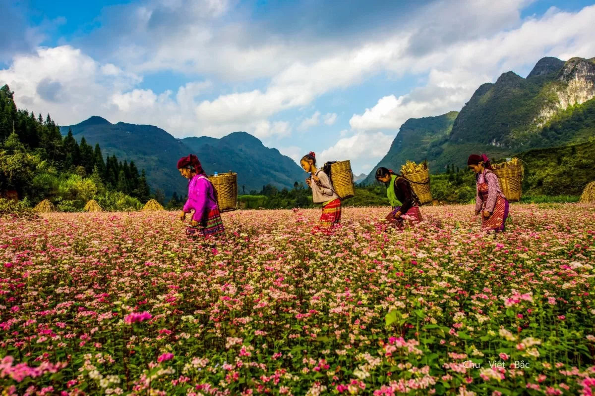 Hà Giang sỡ hữu cảnh quan, văn hoá đặc sắc