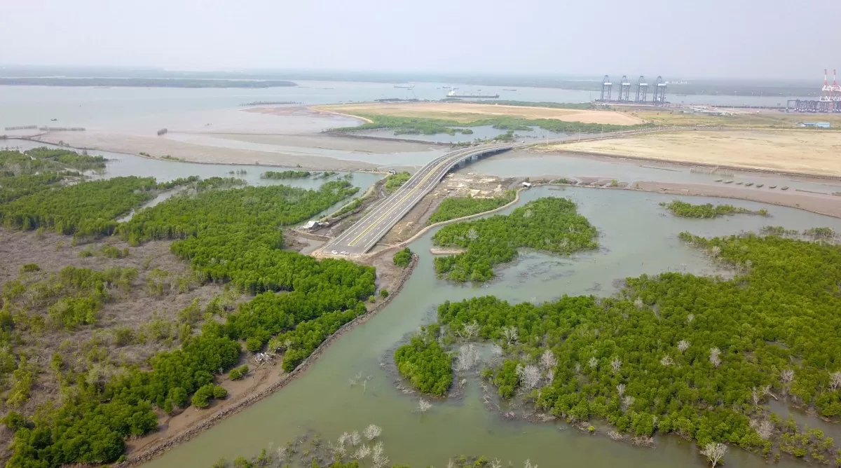 Bà Rịa-Vũng Tàu huỷ quyết định giao 86,5ha đất cho doanh nghiệp