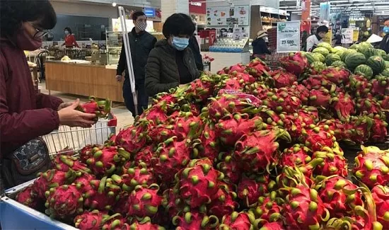 Thanh long vươn lên top đầu xuất khẩu rau quả Việt