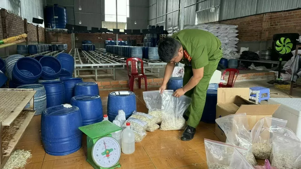 Thực phẩm bẩn tràn lan: Người tiêu dùng vô can?