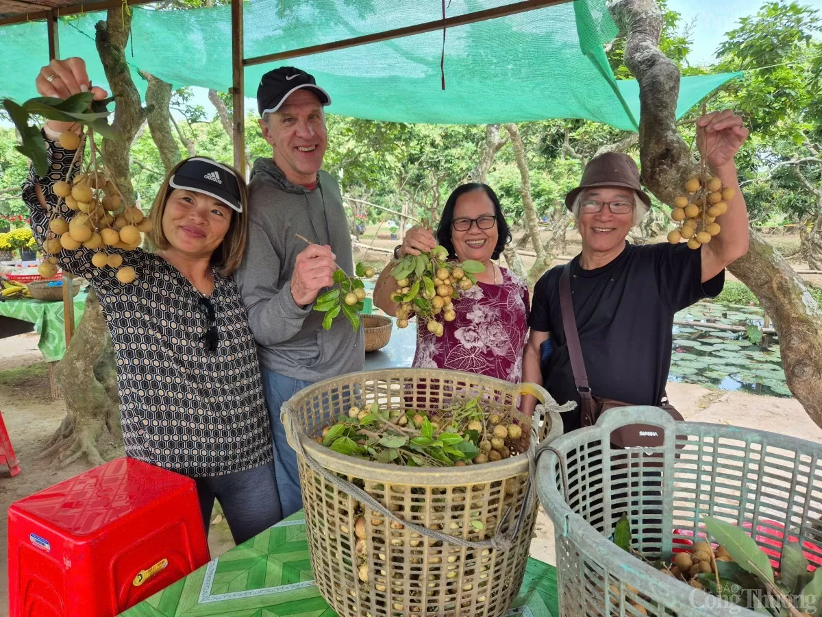 Sáp nhập Hậu Giang và Sóc Trăng vào Cần Thơ: Cơ hội mới cho phát triển du lịch