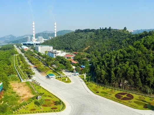 Đảng bộ Nhiệt điện Quảng Ninh thực hiện tốt học tập, làm theo Bác
